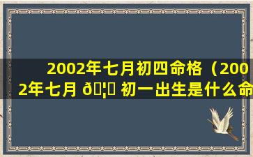 2002年七月初四命格（2002年七月 🦍 初一出生是什么命格女）